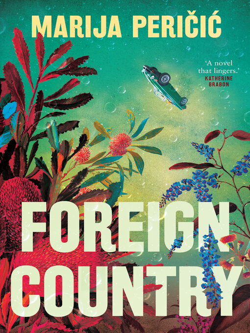 Cover image for Foreign Country